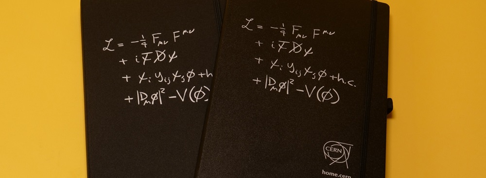 Standard Model Notebook