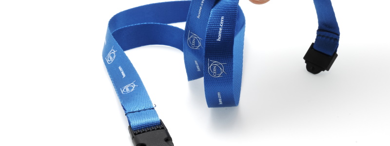 Lanyard