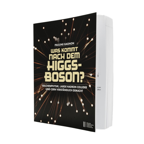 Was kommt nach dem Higgs-Boson ?